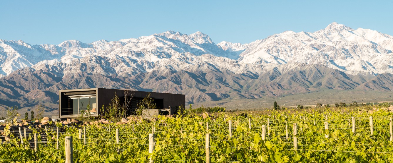 Vinhedos de Mendoza aos pés da Cordilheira dos Andes